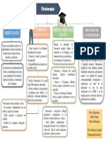 Mapa Fisioterapia