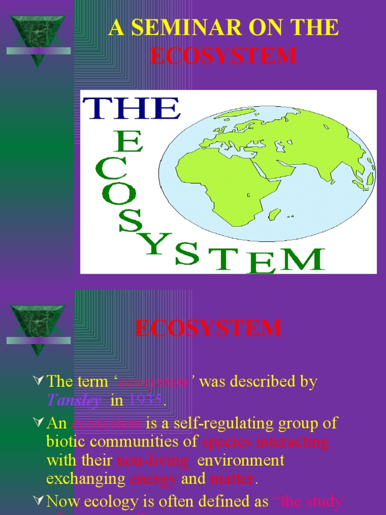 A Seminar On The: Ecosystem | PDF | Ecosystem | Food Web