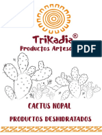 Catalogo Trikadia