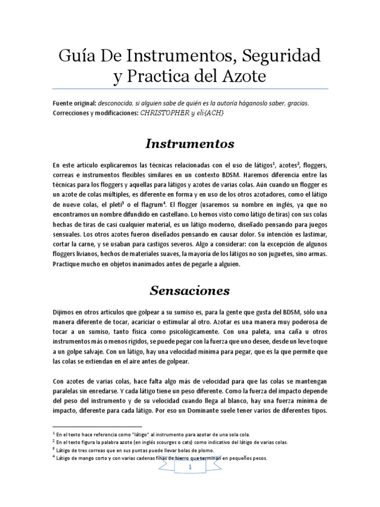 Guía de Instrumentos, Seguridad y Practica Del Azote by CHRISTOPHER | PDF
