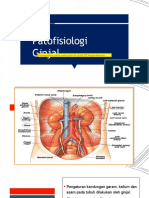 Patofisiologi Ginjal