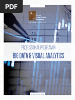 BIG DATA & Visual Analytics: Professional Program in