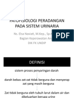 Patofisiologi Peradangan Pada Sistem Urinari