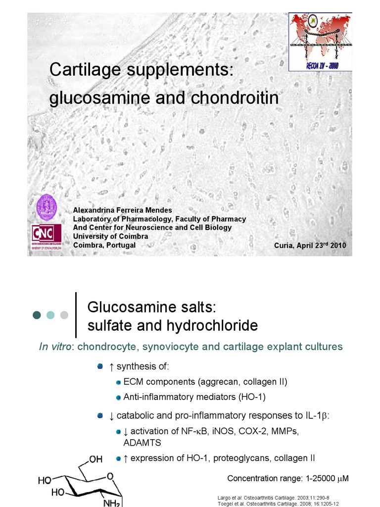 Cartilage Supplementsglucosamine and Chondroitin. Alexandrina Ferreira