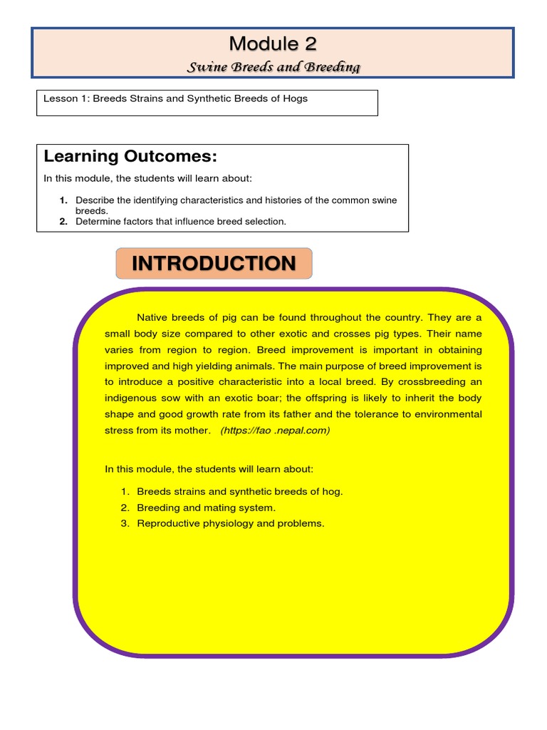 Ap2 Module 2 Lesson 1 Pdf Domestic Pig Pig