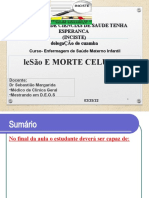 AULA 3-Lesao e Morte Celular