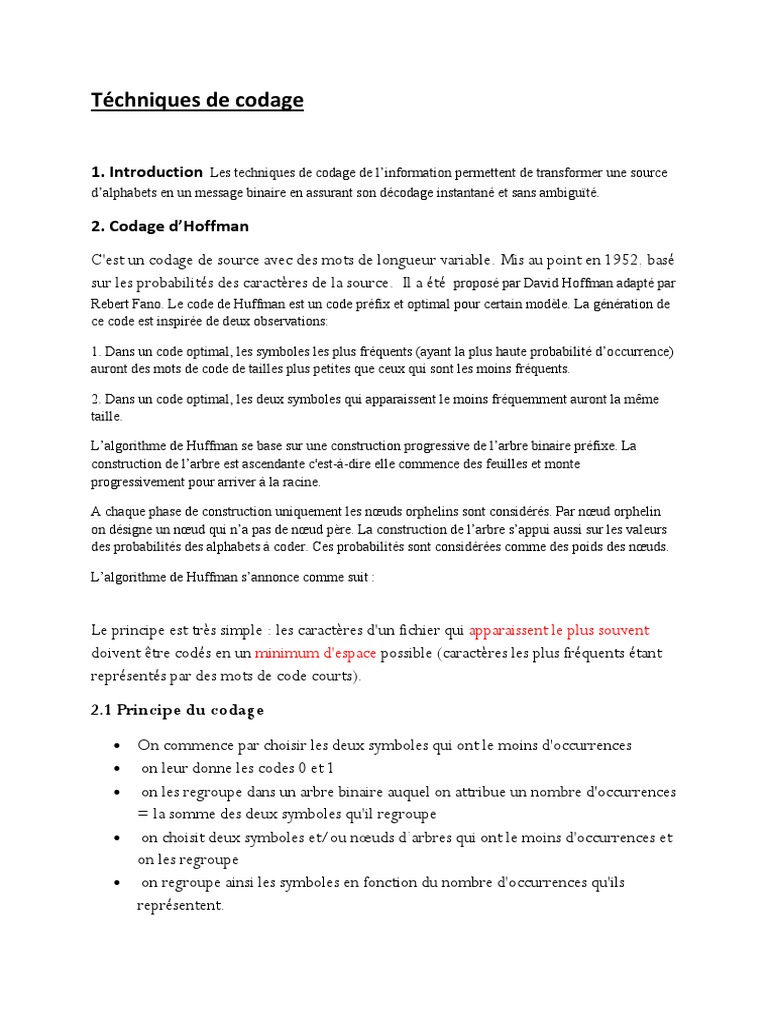 Techniques de codage de l'information | PDF | Âge de l'information ...