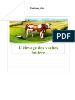 BP l'Élèvage Des Vaches Laitières