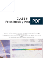 Clase6Fot. Resp