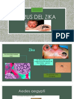 Virus Del ZIKA