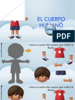 El Cuerpo Humano