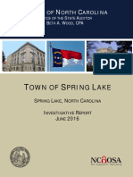 Spring Lake 2016 Audit