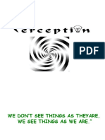 Perception and How We See the World