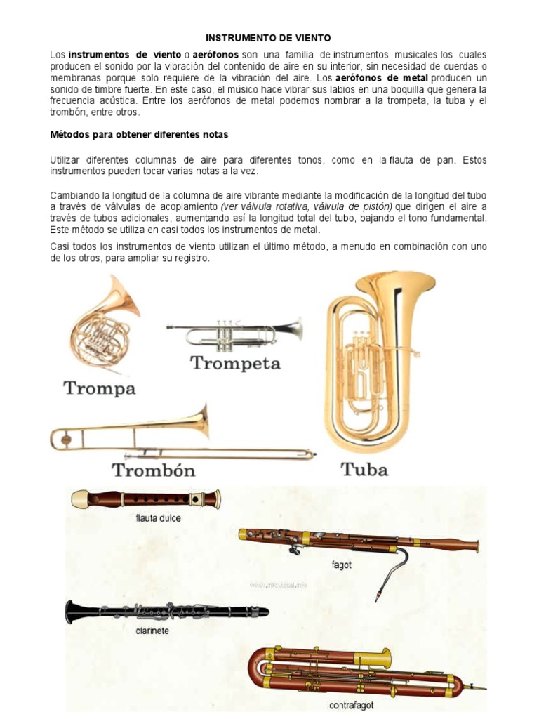 Instrumentos de Viento: Aerófonos y Métodos | PDF | Arte