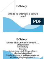 E-Safety.: What Do We Understand E-Safety To Mean?
