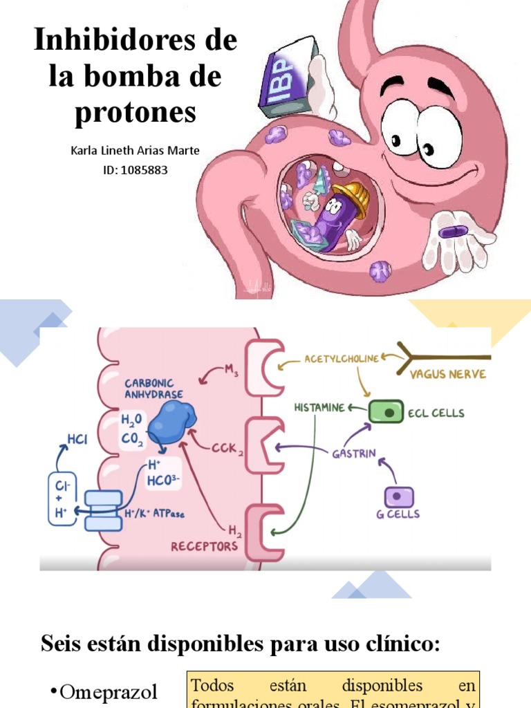 Inhibidores de La Bomba de Protones | PDF | La enfermedad por reflujo ...