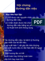 Hoi Chung Tac Duong Dan Nieu