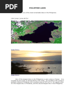 Pakol Fish: Characteristics and Habitat | PDF