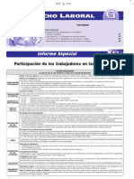 Participación de los trabajadores - Informe Especial y Casos Prácticos - Febrero 2007