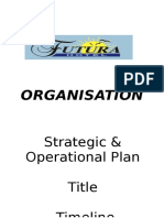 Organisation: Strategic & Operational Plan Title Timeline
