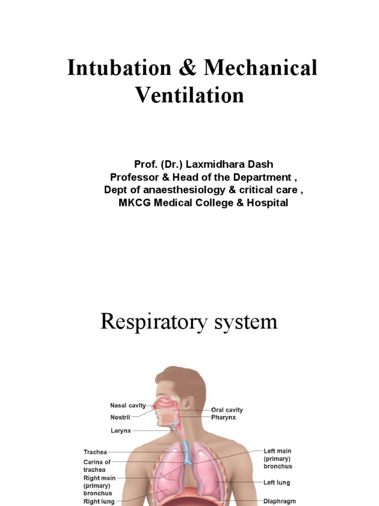 Mechanical Ventilation For Nursing Pdf
