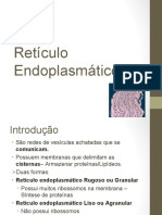 Retículo Endoplasmático