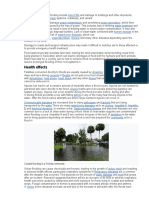 Primary Effects: Coastal Flooding in A Florida Community