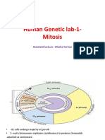 lab -1- human genetics