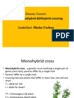 Lab-4-Monohybrid &dihybrid Crossing Assist - Lect. Dhoha Farhan