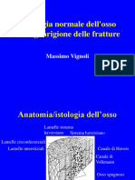 Fisiologia Normale e Fisiopatologia Nella Guarigione Delle Fratture