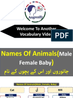 Names of Animals and Their Babies in Urdu