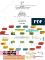 Metabolismo de Los Carbohidratos Nutriclinic-Grupo A.f-Semana3 PDF