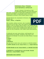 O Homem É Formada Pela Tríade Superior e Quaternário Inferior