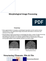 Morphological Processing
