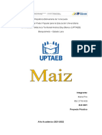 Unidad III Informe Sobre Monitoreo Del Maiz 