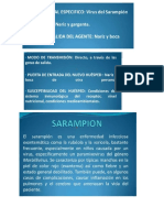 Cadena Epitimiologica Del Sarampion