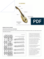 El Charango 1