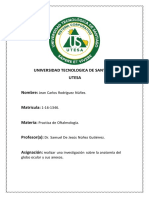 Anatomia Del Globo Ocular y Sus Anexos.