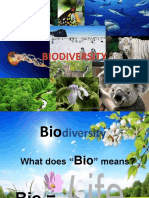 Biodiversity Biodiversity