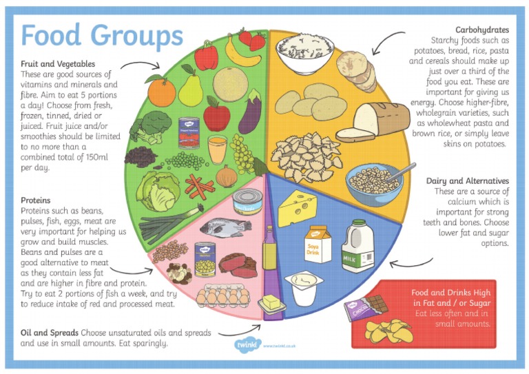 A4 Food Chart | PDF