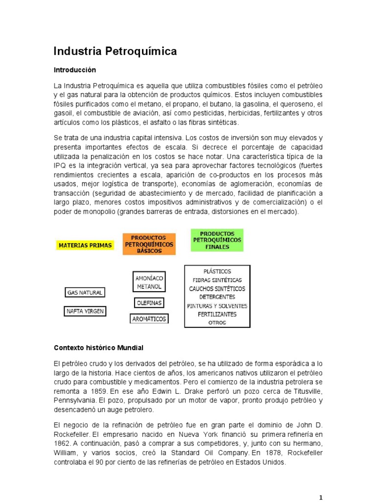 Historia de La Industria Petroquimica en Argentina - Informe | PDF ...