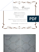 Actividad 10 Derechos Humanos Infografia y Mapa Cognitivo Panal