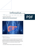 Infosalus Que Son Las Transaminasas 20151002140911