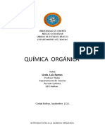 Guia de quimica Organica
