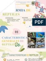 Exposición de Taxidermia de Reptiles