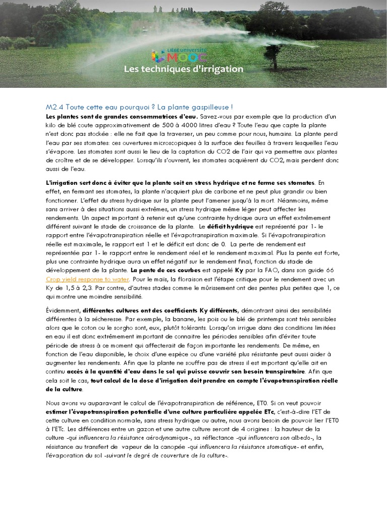 Impact de l'eau sur la croissance des plantes | PDF | Irrigation ...