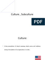 Culture, Subculture