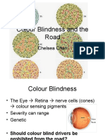 Colour Blindness and The Road