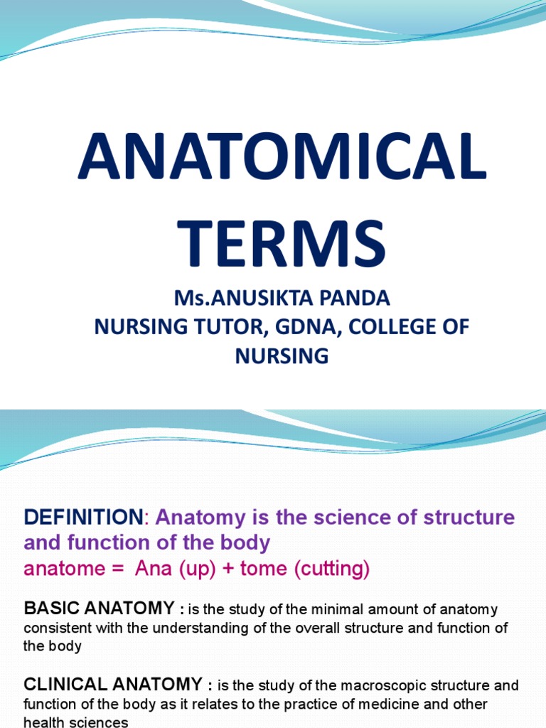 WHAT ARE THE TERMS USED IN ANATOMY visual data 2