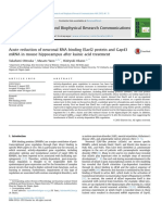 Biochemical and Biophysical Research Communications: Takafumi Ohtsuka, Masato Yano, Hideyuki Okano